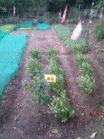 20100215Farm Visit62.jpg